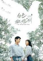 Watch The White Olive Tree M4ufreemovies