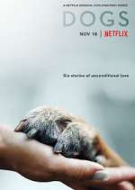 Watch Dogs M4ufreemovies