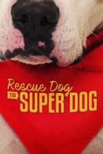 Watch Rescue Dog to Super Dog (US) M4ufreemovies
