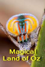 Watch Magical Land of Oz M4ufreemovies