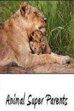 Watch Animal Super Parents M4ufreemovies