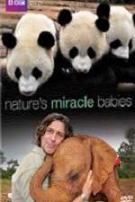 Watch Natures Miracle Babies M4ufreemovies