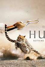 Watch The Hunt M4ufreemovies