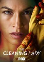 Watch The Cleaning Lady M4ufreemovies