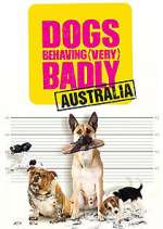 Watch Dogs Behaving (Very) Badly Australia M4ufreemovies