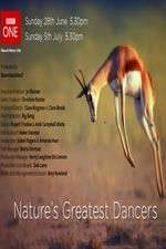 Watch Nature's Greatest Dancers M4ufreemovies