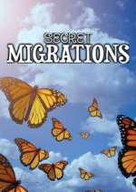 Watch Secret Migrations M4ufreemovies