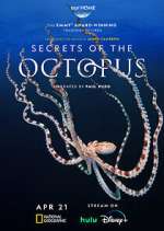 Watch Secrets of the Octopus M4ufreemovies