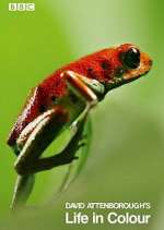 Watch Attenborough's Life in Colour M4ufreemovies