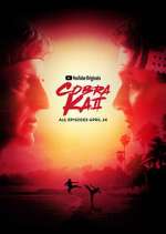 Watch Cobra Kai M4ufreemovies