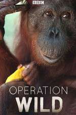 Watch Operation Wild M4ufreemovies