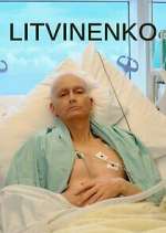 Watch Litvinenko M4ufreemovies
