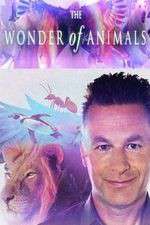 Watch The Wonder of Animals M4ufreemovies
