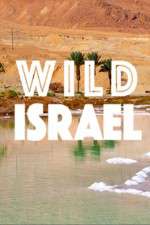 Watch Wild Israel M4ufreemovies