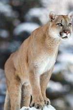 Watch Race of Life M4ufreemovies