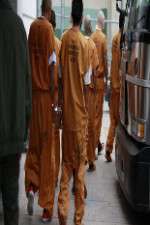 Watch First Week In M4ufreemovies