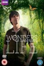 Watch Wonders Of Life M4ufreemovies