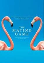 Watch The Mating Game M4ufreemovies