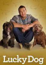 Watch Lucky Dog M4ufreemovies