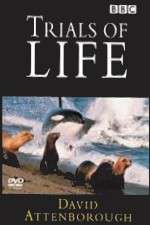 Watch The Trials of Life M4ufreemovies