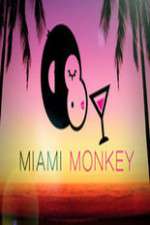 Watch Miami Monkey M4ufreemovies