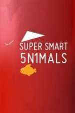 Watch Super Smart Animals M4ufreemovies