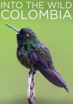 Watch Into the Wild Colombia M4ufreemovies