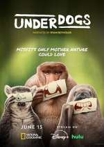 Watch Underdogs M4ufreemovies