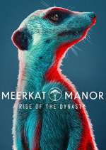 Watch Meerkat Manor: Rise of the Dynasty M4ufreemovies