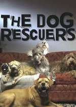 Watch The Dog Rescuers with Alan Davies M4ufreemovies
