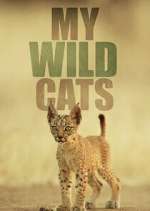 Watch My Wild Cats M4ufreemovies