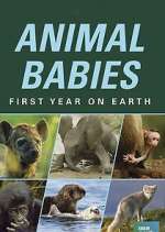 Watch Animal Babies: First Year on Earth M4ufreemovies