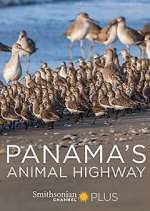 Watch Panama's Animal Highway M4ufreemovies