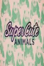 Watch Super Cute Animals M4ufreemovies