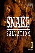 Watch Snake Salvation M4ufreemovies