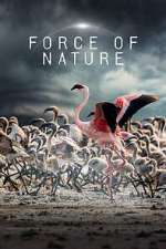 Force of Nature