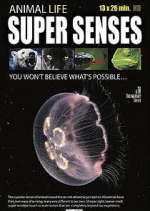Watch Super Senses M4ufreemovies