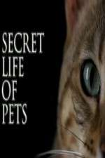 Watch The Secret Life of Pets M4ufreemovies