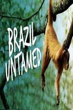 Watch Brazil Untamed M4ufreemovies