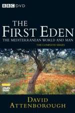 Watch The First Eden M4ufreemovies