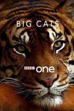 Watch Big Cats M4ufreemovies
