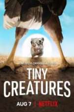 Watch Tiny Creatures M4ufreemovies