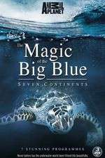 Watch The Magic of the Big Blue M4ufreemovies