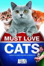 Watch Must Love Cats M4ufreemovies