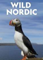 Watch Wild Nordic M4ufreemovies