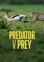 Watch Predator v Prey M4ufreemovies