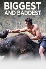 Watch Biggest and Baddest M4ufreemovies