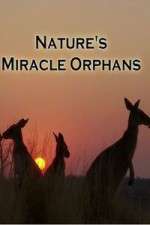 Watch Nature's Miracle Orphans M4ufreemovies