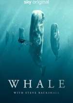 Watch Whale with Steve Backshall M4ufreemovies