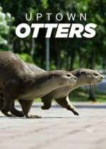 Watch Uptown Otters M4ufreemovies